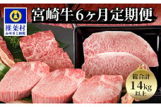【定期便 6回】受賞歴多数!!  宮崎牛【バラエティ定期便】【ヒレステーキ・ロースステーキ・肩ローススライス・ウデスライス・モモ焼肉】送料無料 宮崎県 椎葉村 秘境 国産 宮崎県産 ブランド牛 牛肉 和牛 肉 焼き肉 BBQ アウトドア キャンプ 牛丼 うまい 美味しい おすすめ おかず 多用途 ギフト 贈り物 プレゼント パーティー 誕生日 記念日 お土産 敬老 お中元 お歳暮【MT-52】