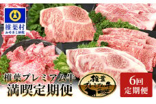 【定期便6回】総重量3.1kg 椎葉プレミアム牛満喫定期便≪ステーキ・すき焼き・しゃぶしゃぶ・焼き肉≫［宮崎県 椎葉村 国産 国産牛 黒毛和牛 和牛 牛 牛肉 赤身 にく おにく 肉 お肉 ステーキ すきやき すき焼き じゃぶじゃぶ やきにく 焼肉  バーベキュー 冷凍 ごちそう 贈物 日本三大秘境］【TK-56】