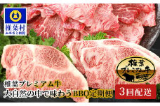 【定期便3回】総重量1.8kg 椎葉プレミアム牛 大自然の中で味わうBBQ定期便≪焼き肉・ステーキ≫［宮崎県 椎葉村 国産 国産牛 黒毛和牛 和牛 牛 牛肉 赤身 にく おにく 肉 お肉 サーロイン ステーキ バーベキュー やきにく 焼肉 冷凍 ごちそう 贈物 日本三大秘境］【TK-60】