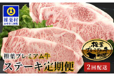 【定期便2回】総重量800g 椎葉プレミアム牛ステーキ定期便≪サーロインステーキ・ロースステーキ≫［宮崎県 椎葉村 国産 国産牛 黒毛和牛 和牛 牛 牛肉 赤身 にく おにく 肉 お肉 ステーキ サーロイン やきにく 焼肉 バーベキュー 冷凍 ごちそう 贈物 日本三大秘境］【TK-61】