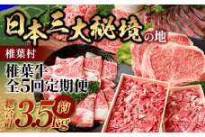【定期便5回】総重量3.5kg！椎葉牛オールスター定期便≪ローストビーフ・切り落とし・焼き肉・スライス・ステーキ≫【A5等級指定 黒毛和牛】A5ランク a5 A5【日本三大秘境 椎葉村 育ちの黒毛和牛】