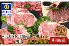 【定期便4回】総重量2.4kg！椎葉牛 大自然の中で味わう焼肉・BBQ定期便≪焼き肉・ステーキ・切り落とし・ローストビーフ≫【A5等級指定 黒毛和牛】A5ランク a5 A5【日本三大秘境 椎葉村 育ちの黒毛和牛】