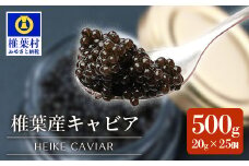 【世界三大珍味×日本三大秘境】HEIKE CAVIAR  500g  【20g×25個】【産地直送】［宮崎 椎葉 国産 ちょうざめ チョウザメ きゃびあ キャビア 500g 魚卵 卵 魚介 珍味 加工品 冷凍 高級 贅沢 ディナー パーティー おつまみ グルメ お祝い ギフト 記念日 誕生日 プレゼント 贈り物 贈答 桐箱 希少］【SZ-126】