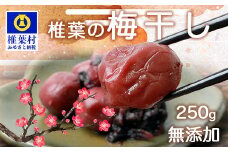 【秘境の里 椎葉のお漬物】椎葉の梅干し 250g【昔ながらの椎葉の うめぼし】［国産 無添加 梅干し 梅 うめ うめぼし 赤しそ 紫蘇 シソ シソ漬け しそ梅 シソ梅 漬け物 漬物 ごはん ご飯 ご飯のお供 お酒のお供 手づくり ご当地グルメ グルメ 取り寄せ お取り寄せグルメ お取り寄せ 米 白米 弁当 塩分 田舎 ご当地 お土産 手土産 ギフト 贈答品 スローフード 母の味］【HF-66】