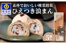 【椎葉銘菓】ひえつき浪まん 1箱(5個入り)【椎葉村産 干し柿入りの和菓子】お菓子 和菓子 スイーツ デザート お土産 手土産 特産品 父 母 敬老 ギフト プレゼント 贈り物 贈答 干し柿 干柿 白あん 餡 ひえつき 饅頭 まんじゅう【HF-80】