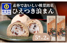【椎葉銘菓】ひえつき浪まん 2箱(5個入り×2)【椎葉村産 干し柿入りの和菓子】お菓子 和菓子 スイーツ デザート お土産 手土産 特産品 父 母 敬老 ギフト プレゼント 贈り物 贈答 干し柿 干柿 白あん 餡 ひえつき 饅頭 まんじゅう 【HF-81】