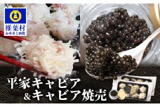【日本三大秘境×世界三大珍味】キャビア焼売 8個入り×2パック＆平家キャビア 5gセット［宮崎 椎葉 国産 ちょうざめ チョウザメ きゃびあ キャビア しゅうまい シュウマイ 焼売 魚卵 卵 お酒 魚介 珍味 加工品 冷凍 高級 贅沢 おつまみ グルメ ギフト 記念日 誕生日 プレゼント お祝い 贈り物 贈答 セット 桐箱 希少］【SZ-136】