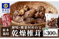 【訳あり】【徳用】秘境・椎葉村産 原木 乾しいたけ 300g［送料無料 宮崎県産 国産 原木椎茸 原木 椎茸 シイタケ しいたけ 乾しいたけ 干し椎茸 原木栽培 産地直送 乾物 きのこ グアニル酸 ビタミンD おすすめ 栄養 美容 食物繊維 煮物 みそ汁 汁もの ダシ 出汁 お鍋 鍋 特産品 ご当地 お取り寄せ 大容量 調味料 ギフト 贈物 プレゼント お中元 お歳暮 化粧箱入］【JA-32】