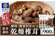 【訳あり】【徳用】秘境・椎葉村産 原木 乾しいたけ 900g（300g×3袋）【森林率96％の村の宝】［送料無料 宮崎県産 国産 原木椎茸 椎茸 シイタケ しいたけ 乾しいたけ 干し椎茸 産地直送 きのこ グアニル酸 ビタミンD おすすめ 栄養 美容 食物繊維 煮物 みそ汁 汁もの ダシ 出汁 鍋 特産品 ご当地 お取り寄せ 大容量 調味料 ギフト 贈物 プレゼント お中元 お歳暮］【JA-34】