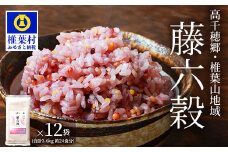 【雑穀米】藤の花色に染まる美しい六穀米《藤六穀》300g×12袋【世界農業遺産 高千穂郷・椎葉山地域】送料無料 保存食 非常食 米 お米 ご飯 ご当地 贈り物 手土産 お土産 挨拶 祝い ギフト 父 母 栄養 健康 うるち米 たかきび 挽割とうもろこし もちあわ もち麦 黒米【TT-11】