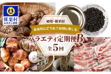 【秘境・椎葉村】待望のコラボ・家庭用にどうね？お得に楽しむバラエティー定期便B【全5回】                                        