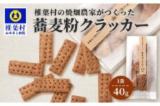 椎葉村の焼畑農家がつくった 蕎麦粉クラッカー【手づくりの焼菓子】［送料無料 宮崎県 椎葉村 椎葉 日本三大秘境 秘境 焼畑 やきはた くらっかー クラッカー 蕎麦 蕎麦粉 そば そばこ 蕎麦粉クラッカー おやつ おかし 菓子 お菓子 焼き菓子 無添加 手作り 自然 ギフト お土産］【YS-34】