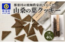 椎葉村の焼畑農家がつくった 山桑の葉クッキー【手づくりの焼菓子】［送料無料 宮崎県 椎葉村 椎葉 日本三大秘境 秘境 焼畑 やきはた くっきー クッキー 山桑 山桑の葉 山桑の葉クッキー おやつ おかし 菓子 お菓子 焼き菓子 無添加 手作り 自然 ギフト お土産］【YS-35】