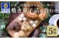 画像はイメージです
