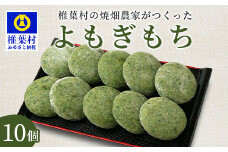 焼畑農家がつくった よもぎもち 10個【日本三大秘境の地「椎葉村」からお届け】送料無料 宮崎県 宮崎 椎葉村 椎葉 餅 よもぎ餅 蓬餅 ヨモギ餅 蓬もち よもぎもち もち モチ  セット 野草 焼き餅 焼餅 正月 お祝い 祝い 美味しい うまい やきもち もち米 焼きもち ヨモギ 蓬 餅【YS-44】