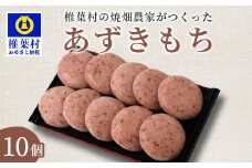 焼畑農家がつくった あずきもち 10個【日本三大秘境の地「椎葉村」からお届け】送料無料 宮崎県 宮崎 椎葉村 椎葉 餅 あずきもち 小豆 小豆もち 小豆餅 あずき餅 あずき アズキ もち モチ セット 焼き餅 焼餅 正月 お祝い 祝い 美味しい うまい やきもち もち米 焼きもち【YS-46】