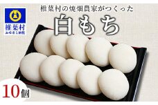 焼畑農家がつくった 白もち 10個【日本三大秘境の地「椎葉村」からお届け】[送料無料 宮崎県 宮崎 椎葉村 椎葉 餅 もち モチ 白餅 セット しろもち 焼き餅 焼餅 お雑煮 雑煮 正月 お祝い 祝い 美味しい うまい おぞうに ぞうに やきもち もち米 焼きもち]【YS-48】