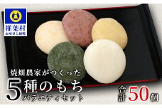 焼畑農家がつくった5種のお餅バラエティセットB(白もち よもぎもち とうきびもち あずきもち あわもち)【日本三大秘境の地「椎葉村」からお届け】送料無料 宮崎県 宮崎 椎葉村 椎葉 餅 雑穀 もち モチ セット 食べ比べ 焼き餅 焼餅 正月 お祝い 祝い 美味しい うまい やきもち もち米 焼きもち 白もち よもぎもち 蓬もち とうきびもち あずきもち 小豆もち あわもち 粟もち【YS-50】
