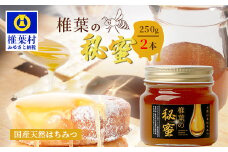 【秘境を味わう】【7営業日以内発送】椎葉の秘蜜 【250g×2本】国産天然はちみつ【数量限定】送料無料 宮崎県 椎葉村 秘境 蜂蜜 はちみつ ハチミツ みつばち ミツバチ 伝統的 養蜂 国産 天然 百花蜜 巣箱 数量限定 季節 希少 250g 500g 【MS-06】