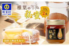【秘境を味わう】【7営業日以内発送】椎葉の秘蜜 【50g×2本】国産天然はちみつ【数量限定】送料無料 宮崎県 椎葉村 秘境 蜂蜜 はちみつ ハチミツ みつばち ミツバチ 伝統 養蜂 国産 天然 百花蜜 巣箱 数量限定 季節 希少 50g 100g【MS-10】