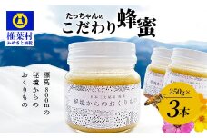 【無添加 非加熱】標高800m たっちゃんのこだわり蜂蜜【250g×3本】送料無料 宮崎県 椎葉村 秘境 蜂蜜 はちみつ ハチミツ みつばち ミツバチ 伝統的 養蜂 国産 天然 百花蜜 巣箱 数量限定 季節 希少 250g 500g 750g  防災 備蓄【TN-03】