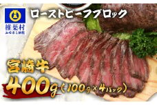 宮崎牛 ローストビーフブロック 400g（100g×4P） お試しソース付き TK-95 [宮崎県 椎葉村 宮崎牛 和牛 黒毛和牛 牛肉 ぎゅうにく 牛 うし ぎゅう 肉 お肉 にく おにく ローストビーフ ビーフ ロースト ローストビーフブロック肉 ブロック肉 もも肉 牛もも肉 400g 人気 おすすめ 送料無料]