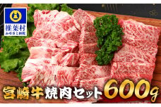 宮崎牛 焼肉セット 600g TK-97 [宮崎県 椎葉村 宮崎牛 和牛 黒毛和牛 牛肉 ぎゅうにく 牛 うし ぎゅう 肉 お肉 にく おにく 焼き肉 焼肉 やきにく 精肉 もも モモ肉 バラ バラ肉 600g 人気 おすすめ 送料無料]