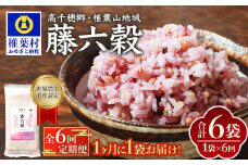 【6回定期便】【雑穀米】藤の花色に染まる美しい六穀米《藤六穀》300g×1袋 6回配送【世界農業遺産 高千穂郷・椎葉山地域】送料無料 定期便 定期 保存食 非常食 米 お米 ご飯 ご当地 贈り物 手土産 お土産 挨拶 祝い ギフト 父 母 栄養 健康 うるち米 たかきび 挽割とうもろこし もちあわ もち麦 黒米【TT-13】