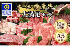 【 定期便 全10回 】 10ヶ月連続でお届け！ 牛肉 オール椎葉牛大満足セット 総重量 5,180g 【 日本三大秘境 椎葉村 育ちの黒毛和牛 】[ 牛肉 ステーキ 精肉 ホルモン モモ肉 ヒレ肉 定期便 定期配送 肉 スライス肉 サーロイン A5等級指定 黒毛和牛 ブランド牛 A5ランク おすすめ 送料無料 ] TK-105
