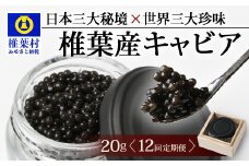 〈12回定期便〉【桐箱入り】キャビア 20g × 12回配送 計240g【世界三大珍味×日本三大秘境】［宮崎 椎葉 国産 ちょうざめ チョウザメ きゃびあ キャビア 魚卵 卵 定期便 定期 240g 12回配送 クリーミー お酒 魚介 珍味 加工品 冷凍 高級 贅沢 グルメ ディナー パーティー おつまみ ギフト 記念日 誕生日 プレゼント お祝い 贈答 贈答品 希少］SZ-103_12teiki
