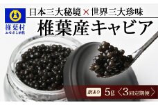【3回定期便】【訳あり】HEIKE CAVIAR  5g × 3回 計15g 【世界三大珍味×日本三大秘境】［ 訳あり 宮崎 椎葉 国産 チョウザメ キャビア 定期便 定期 5g 15g 3回定期 魚卵 卵 クリーミー お酒 魚介 珍味 加工品 冷凍 高級 高級食材 贅沢 世界三大珍味 おつまみ グルメ ギフト プレゼント 贈答 希少 人気 おすすめ 送料無料 ］SZ-115_3teiki