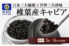【6回定期便】【訳あり】HEIKE CAVIAR  5g × 6回 計30g 【世界三大珍味×日本三大秘境】［ 訳あり 宮崎 椎葉 国産 チョウザメ キャビア 定期便 定期 5g 30g 6回定期 魚卵 卵 クリーミー お酒 魚介 珍味 加工品 冷凍 高級 高級食材 贅沢 世界三大珍味 おつまみ グルメ ギフト プレゼント 贈答 希少 人気 おすすめ 送料無料 ］SZ-115_6teiki