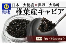 【6回定期便】【訳あり】 国産 キャビア HEIKE CAVIAR  5g × 6回 計30g 【世界三大珍味×日本三大秘境】［ 訳あり 宮崎 椎葉 国産 チョウザメ キャビア 定期便 定期 5g 30g 6回定期 魚卵 卵 お酒 魚介 珍味 加工品 冷凍 高級 高級食材 贅沢 世界三大珍味 おつまみ グルメ ギフト プレゼント 贈答 希少 人気 おすすめ 送料無料 ］SZ-115_6teiki