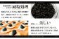 画像はイメージです