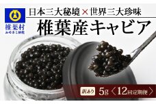 【12回定期便】【訳あり】HEIKE CAVIAR  5g × 12回 計60g 【世界三大珍味×日本三大秘境】［ 訳あり 宮崎 椎葉 国産 チョウザメ キャビア 定期便 定期 5g 60g 12回定期 魚卵 卵 クリーミー お酒 魚介 珍味 加工品 冷凍 高級 高級食材 贅沢 世界三大珍味 おつまみ グルメ ギフト プレゼント 贈答 希少 人気 おすすめ 送料無料 ］SZ-115_12teiki
