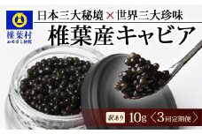 【3回定期便】【訳あり】HEIKE CAVIAR  10g × 3回 計30g 【世界三大珍味×日本三大秘境】［ 訳あり 宮崎 椎葉 国産 チョウザメ キャビア 定期便 定期 10g 30g 3回定期 魚卵 卵 クリーミー お酒 魚介 珍味 加工品 冷凍 高級 高級食材 贅沢 世界三大珍味 おつまみ グルメ ギフト プレゼント 贈答 希少 人気 おすすめ 送料無料 ］SZ-116_3teiki