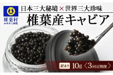 【3回定期便】【訳あり】 国産 キャビア HEIKE CAVIAR  10g × 3回 計30g 【世界三大珍味×日本三大秘境】［ 訳あり 宮崎 椎葉 国産 チョウザメ キャビア 定期便 定期 10g 30g 3回定期 魚卵 卵 魚介 珍味 加工品 冷凍 高級 高級食材 贅沢 世界三大珍味 おつまみ グルメ ギフト プレゼント 贈答 希少 人気 おすすめ 送料無料 ］SZ-116_3teiki