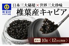 【12回定期便】【訳あり】HEIKE CAVIAR  10g × 12回 計120g 【世界三大珍味×日本三大秘境】［ 訳あり 宮崎 椎葉 国産 チョウザメ キャビア 定期便 定期 10g 120g 12回定期 魚卵 卵 クリーミー お酒 魚介 珍味 加工品 冷凍 高級 高級食材 贅沢 世界三大珍味 グルメ ギフト プレゼント 贈答 希少 人気 おすすめ 送料無料 ］SZ-116_12teiki