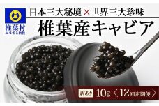 【12回定期便】【訳あり】 国産 キャビア HEIKE CAVIAR  10g × 12回 計120g 【世界三大珍味×日本三大秘境】［ 訳あり 宮崎 椎葉 国産 チョウザメ キャビア 定期便 定期 10g 120g 12回定期 魚卵 卵 魚介 珍味 加工品 冷凍 高級 高級食材 贅沢 世界三大珍味 グルメ ギフト プレゼント 贈答 希少 人気 おすすめ 送料無料 ］SZ-116_12teiki
