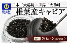 【3回定期便】【訳あり】HEIKE CAVIAR  20g × 3回 計60g 【世界三大珍味×日本三大秘境】［ 訳あり 宮崎 椎葉 国産 チョウザメ キャビア 定期便 定期 20g 60g 3回定期 魚卵 卵 クリーミー お酒 魚介 珍味 加工品 冷凍 高級 高級食材 贅沢 世界三大珍味 グルメ ギフト プレゼント 贈答 希少 人気 おすすめ 送料無料 ］SZ-117_3teiki