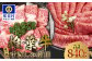 お届け荷姿については、画像と異なる可能性がございます。ご了承ください。