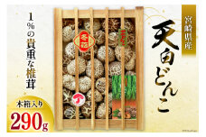 宮崎県産 乾椎茸 ギフト 天白 どんこ 「K-100」 290g 肉厚 [岡田商店 宮崎県 美郷町 31ac0037] 乾燥 椎茸 干し椎茸 しいたけ 国内産 九州産 宮崎県産 ギフト 贈り物 プレゼント 贈答用 化粧箱 木箱 専用箱 送料無料 父の日 母の日 希少 貴重