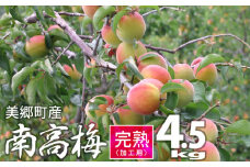 【期間限定】 ※受付期間6月20日まで 美郷町産 「南高梅」 完熟梅 4.5kg 加工用 梅 南高梅 完熟 果物 フルーツ 国産 九州産 宮崎県産 送料無料 大玉 梅干し ジャム