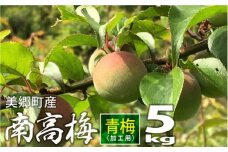 【期間限定発送】※受付期間6月15日まで 美郷町産 「南高梅」 青梅 5kg 加工用 梅 果物 フルーツ 国産 九州産 宮崎県産 送料無料 大玉 直径3センチ以上 梅酒 梅シロップ