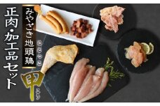 宮崎ブランド みやざき地頭鶏加工品・正肉セット(甲)  [美郷町みやざき地頭鶏加工組合 宮崎県 美郷町 020-002] 肉 鶏肉 地鶏 鶏