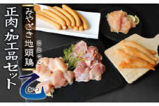 宮崎ブランド みやざき地頭鶏加工品・正肉セット(乙)  [美郷町みやざき地頭鶏加工組合 宮崎県 美郷町 020-003] 肉 鶏肉 地鶏 鶏