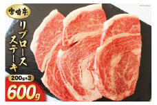 【宮崎牛】 リブロース ステーキ カット 200g×3枚 計600g [マルミヤストア 宮崎県 美郷町 31ag0113] 肉 牛 牛肉 焼肉 黒毛 和牛 国産 A4 A5 冷凍