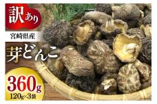 訳あり 乾燥しいたけ 宮崎県産 乾燥 芽どんこ 120g 3p 計360g [岡田商店 宮崎県 美郷町 31ac0064] 小分け チェック袋 乾燥シイタケ 乾燥椎茸 しいたけ シイタケ 椎茸 国産 どんこ セット