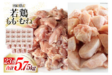 鶏肉 もも肉 250g ×8p & むね肉 250ｇ×15p セット 計5.75kg [九州児湯フーズ 宮崎県 美郷町 31aj0058] 小分け 肉 鶏 とり もも むね 鳥もも肉 とりもも 鳥むね肉 とりむね 冷凍 カット 若鶏 チキン