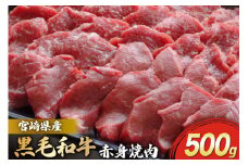 宮崎県産 黒毛和牛 赤身 焼肉 500g トレイ包装 [マルミヤストア 宮崎県 美郷町 31ag0122] 肉 牛 牛肉 ウデ モモ 焼肉 冷凍